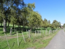 001 Wehinger-Viez-Pfad 2010