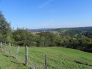 005 Wehinger-Viez-Pfad 2010