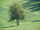 010 Wehinger-Viez-Pfad 2010