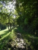 012 Wehinger-Viez-Pfad 2010