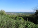 021 Wehinger-Viez-Pfad 2010