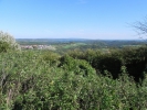 022 Wehinger-Viez-Pfad 2010