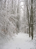 Winterwanderung 2011  016