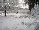 Winterwanderung 2011  023