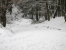 Winterwanderung 2011  026