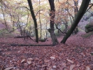 006 Tafeltour Mettlach 30.10.2011
