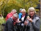 023 Tafeltour Mettlach 30.10.2011