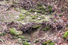 2011 Hirn-Gallenbergweg