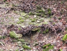 001 Hirn-Gallenbergweg 2011