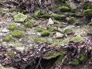 002 Hirn-Gallenbergweg 2011