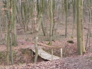 003 Hirn-Gallenbergweg 2011