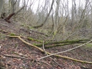 015 Hirn-Gallenbergweg 2011
