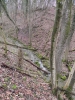 017 Hirn-Gallenbergweg 2011
