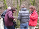 031 Hirn-Gallenbergweg 2011