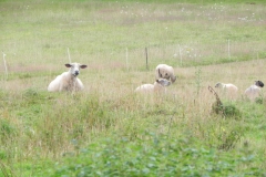 2011 Sommerwanderung