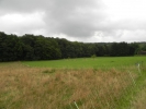 Sommerwanderung 2011  026