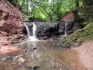 Sommerwanderung 2011  040