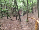 Sommerwanderung 2011  046