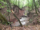 Sommerwanderung 2011  047