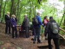 Sommerwanderung 2011  048