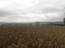 Sommerwanderung 2011  055