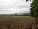 Sommerwanderung 2011  056