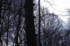 2012-02 Warndt-Wald