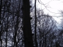 2012-02 Warndt-Wald