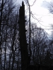 001 Wanderung Warndt-Wald 02 2012