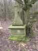 005 Der Gisinger 3.2.2013