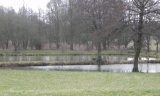 006 Der Gisinger 3.2.2013
