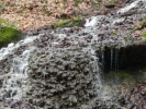 009 Der Gisinger 3.2.2013