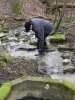 015 Der Gisinger 3.2.2013