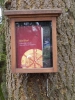 037 Der Gisinger 3.2.2013
