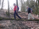 88 Litermont Sagenweg 2013