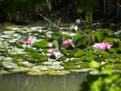 17 Sommerwanderung 2013