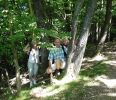 8 Sommerwanderung 2013