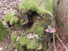 Wege des Wassers 2013  025
