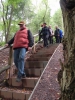 Wolfsweg-10-2014-008