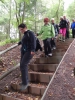Wolfsweg-10-2014-009