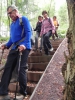 Wolfsweg-10-2014-011