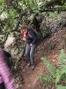 Wolfsweg-10-2014-012