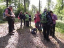 Wolfsweg-10-2014-019