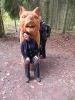 Wolfsweg-10-2014-020
