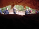 Wolfsweg-10-2014-021