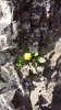 20160410_160214
