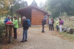 2016-10 Viez-Pfad  Wehingen