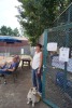 DSC02907