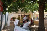 DSC02909-2